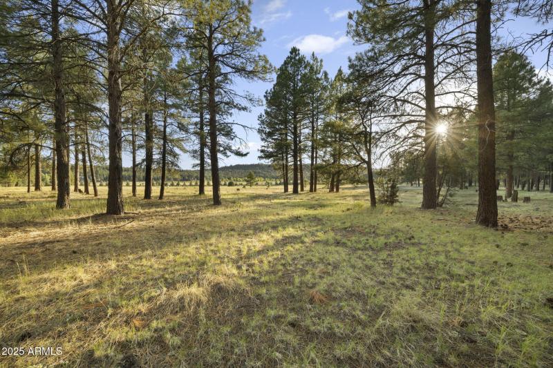 22-web-or-mls-FA9A5416