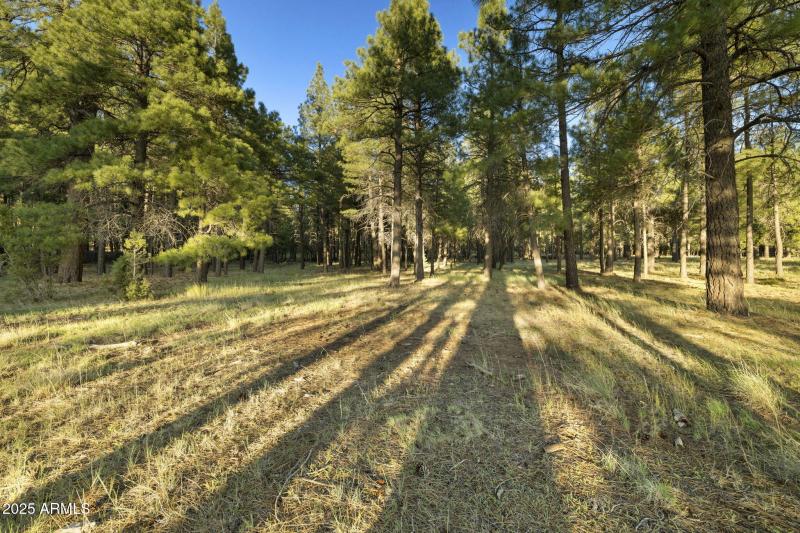 21-web-or-mls-FA9A5411