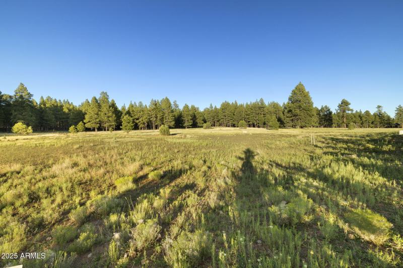 17-web-or-mls-FA9A5392