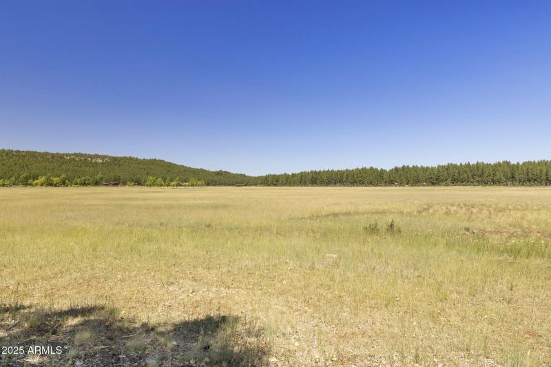 10-web-or-mls-FA9A8883