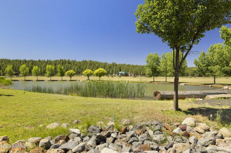 7-web-or-mls-FA9A8867