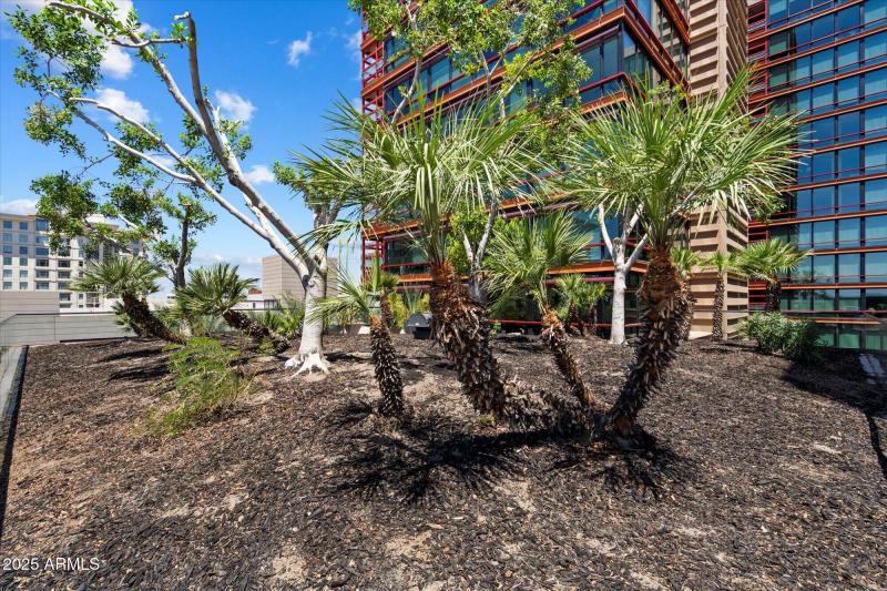 Partial View of Private Terrace