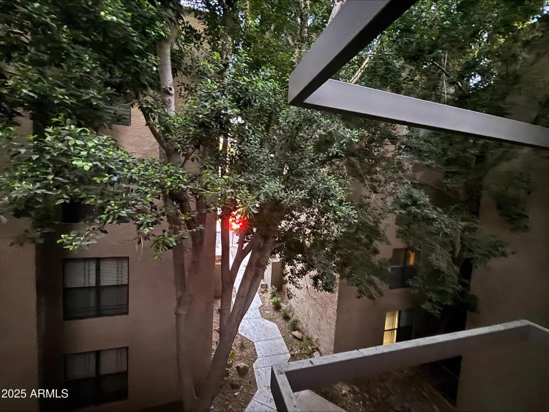 processed-8862F3E5-AE1E-483E-9B8F-4463E4