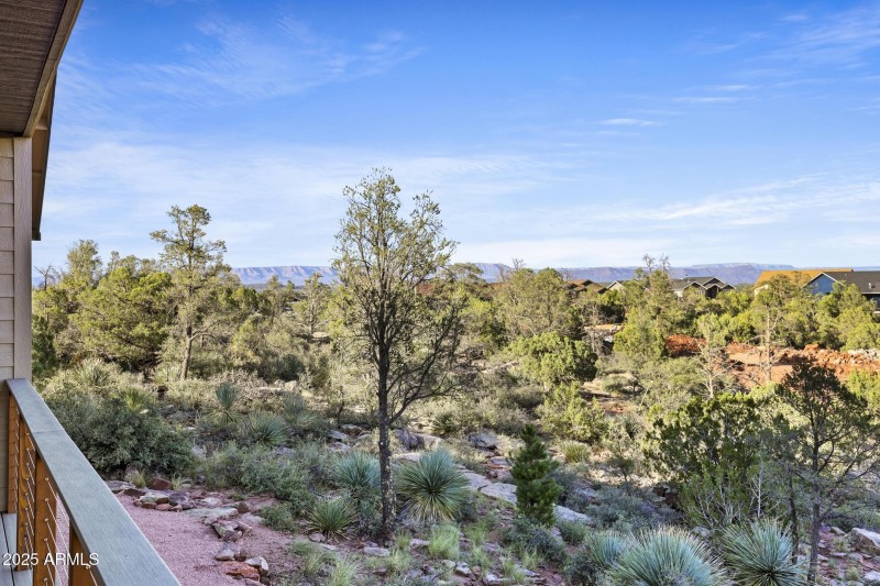 National Forest View