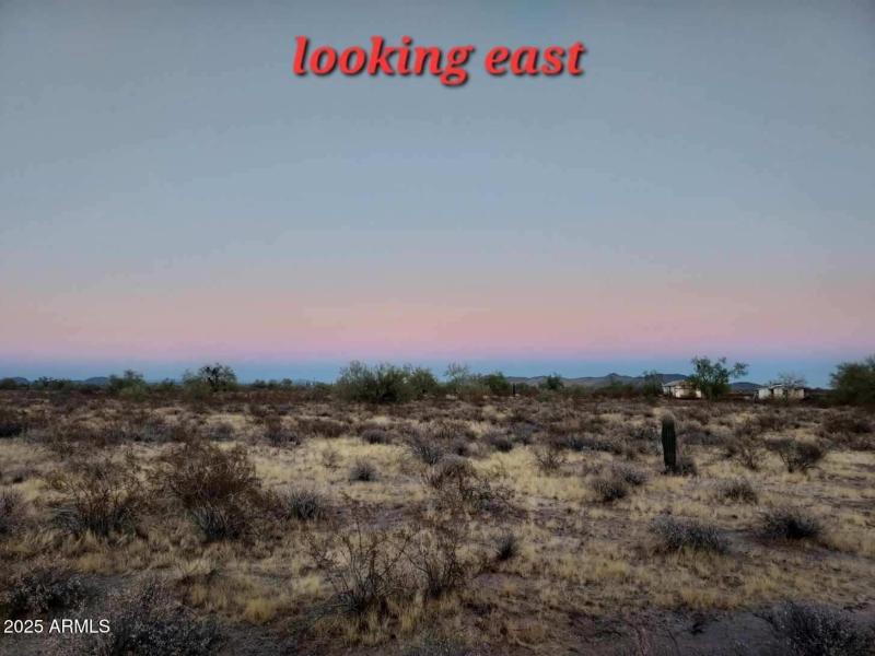 Resized_Resized_20231103_174213