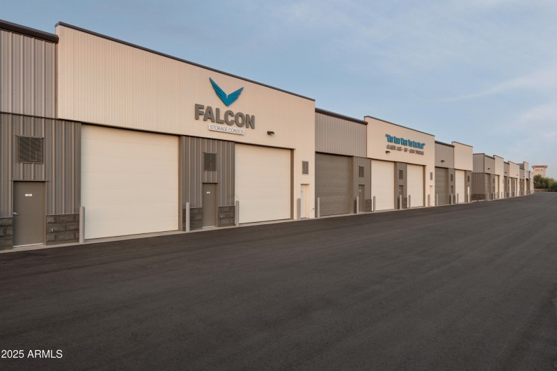 ARMays-FalconStorage_MSP0079