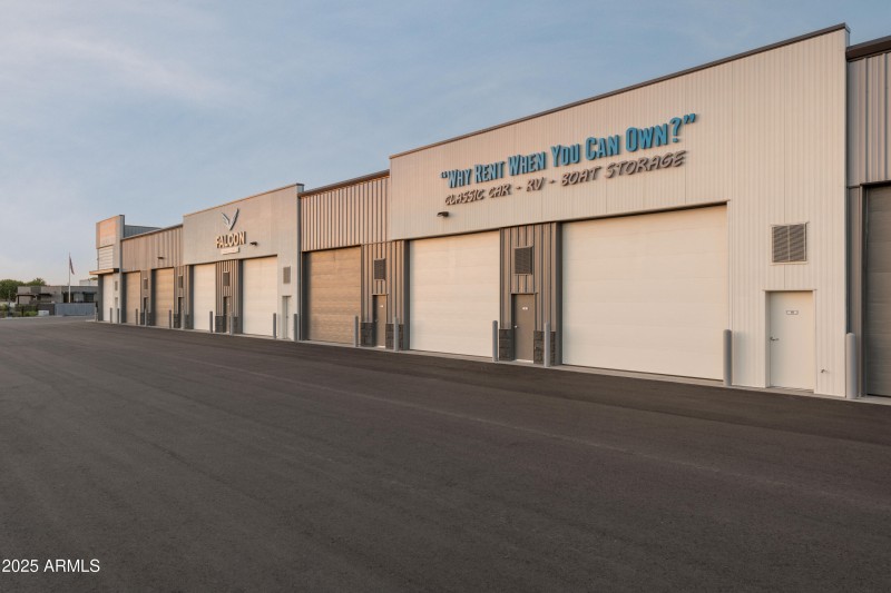 ARMays-FalconStorage_MSP0086