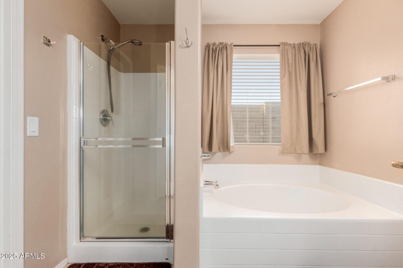 MasterBath_Shower_Tub