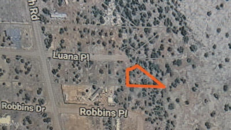 PXL_20250730_171215475~2