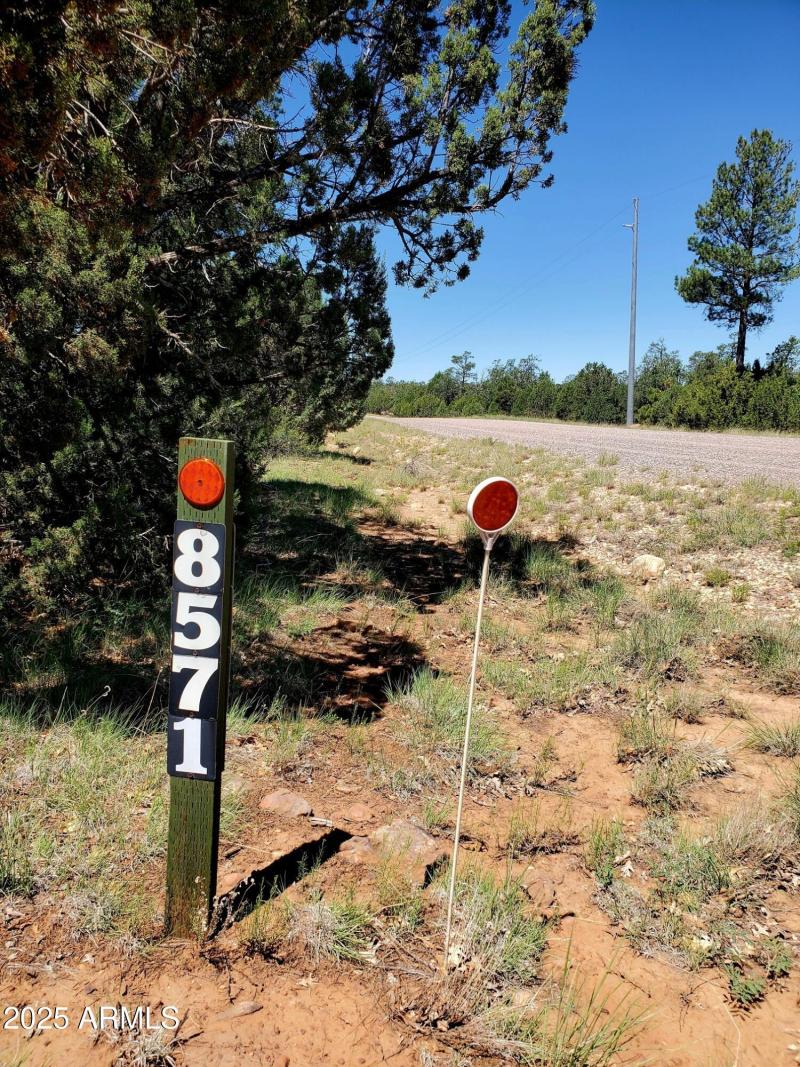 2-20250730_105640_resized