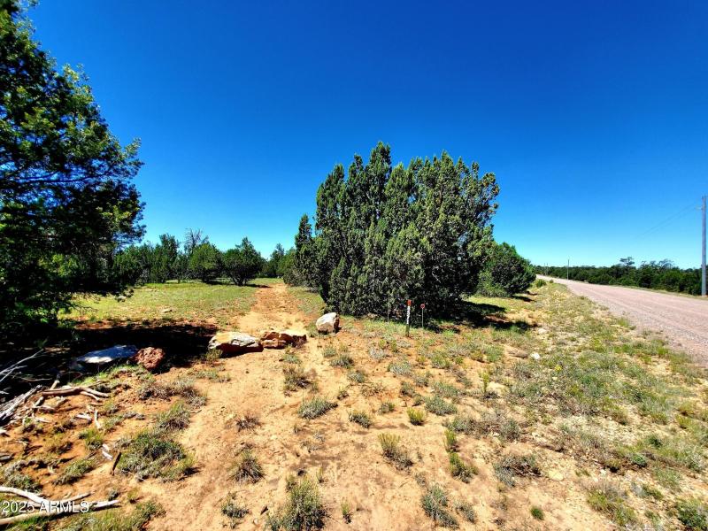 20250730_105705_resized