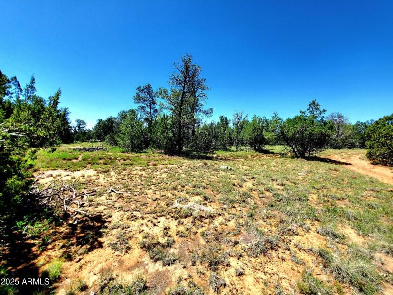 20250730_105948_resized