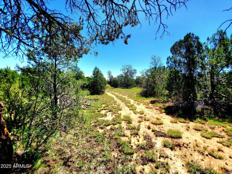 20250730_110112_resized