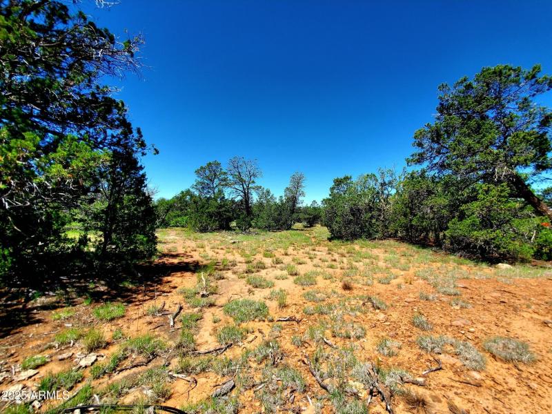 20250730_110232_resized