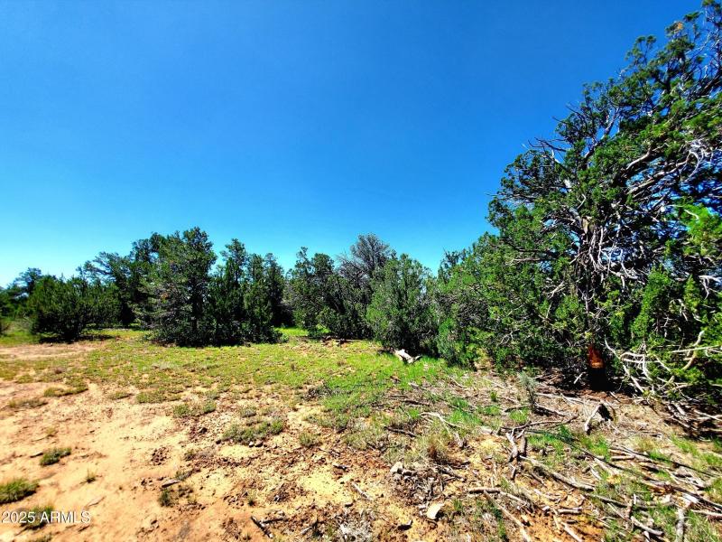 20250730_110248_resized