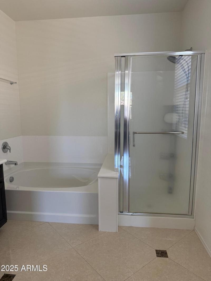 MASTER SHOWER/BATHTUB