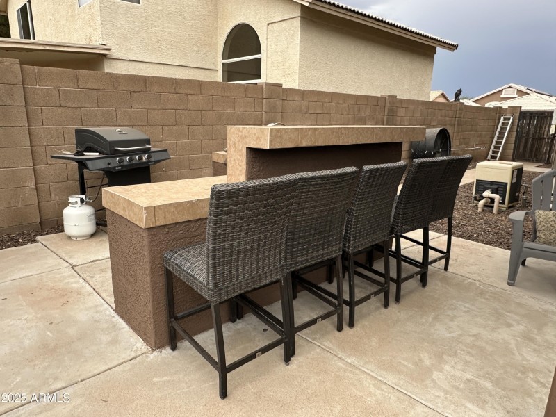 Outdoor Bar and BBQ area