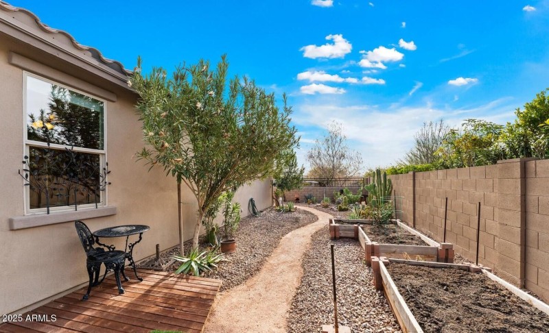 backyard west with planters