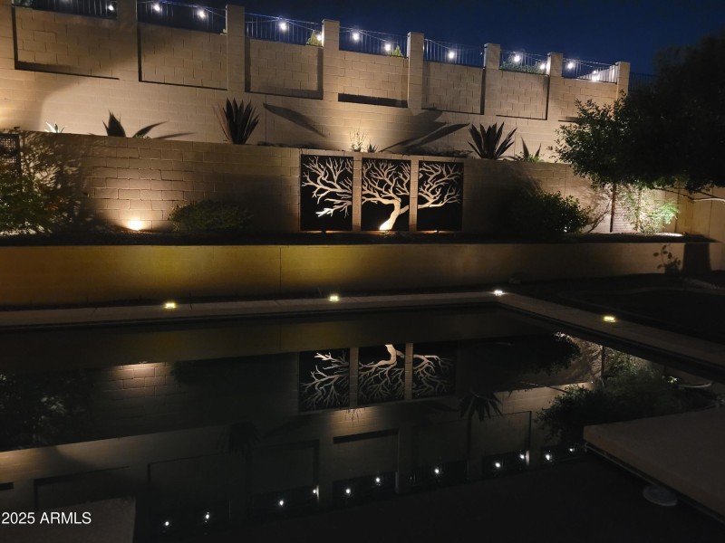 Backyard Night Photo