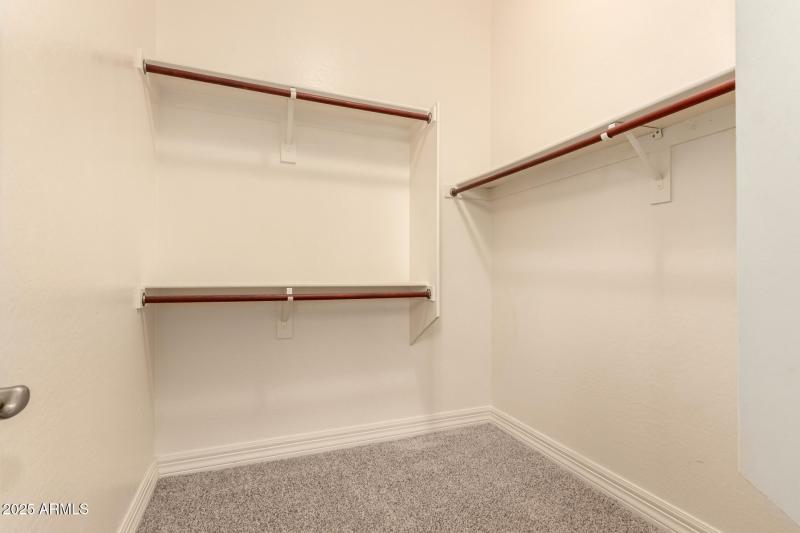 42 - Sagittarius 1541