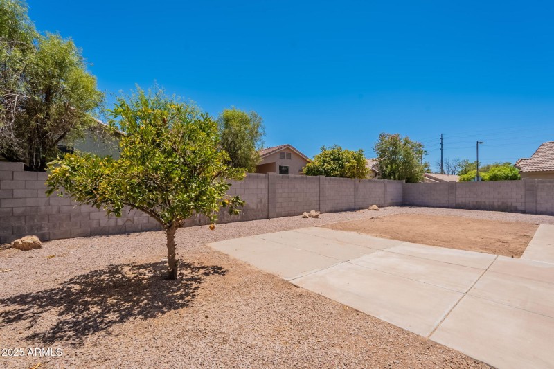 38-web-or-mls-Orion-38