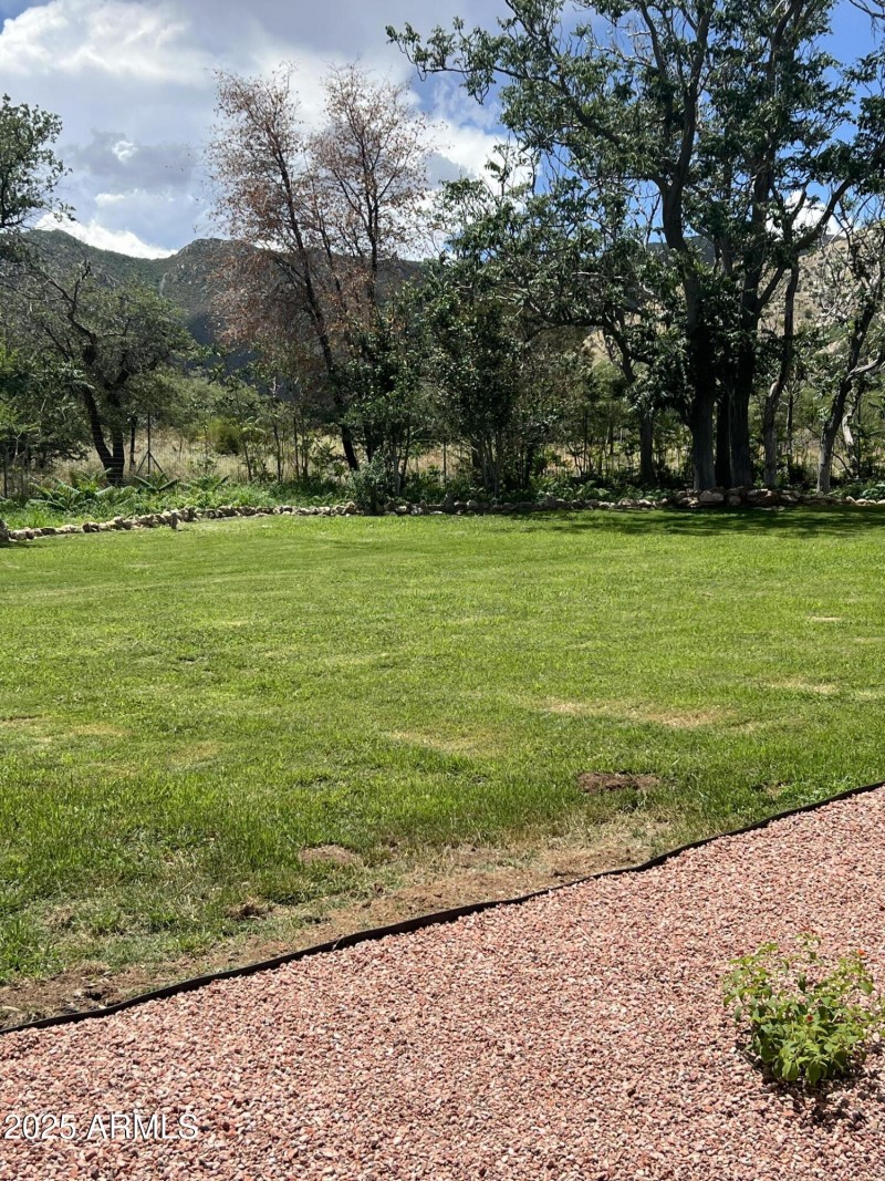 Photo Aug 02 2025, 12 30 50 PM