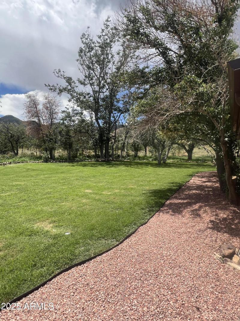 Photo Aug 02 2025, 12 31 35 PM