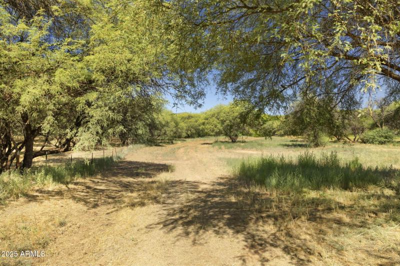 21-web-or-mls-FA9A8782