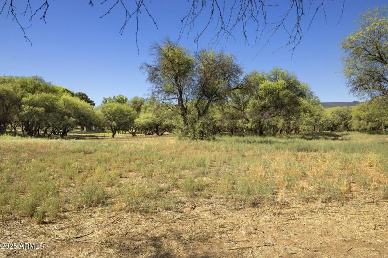 34-web-or-mls-FA9A8847