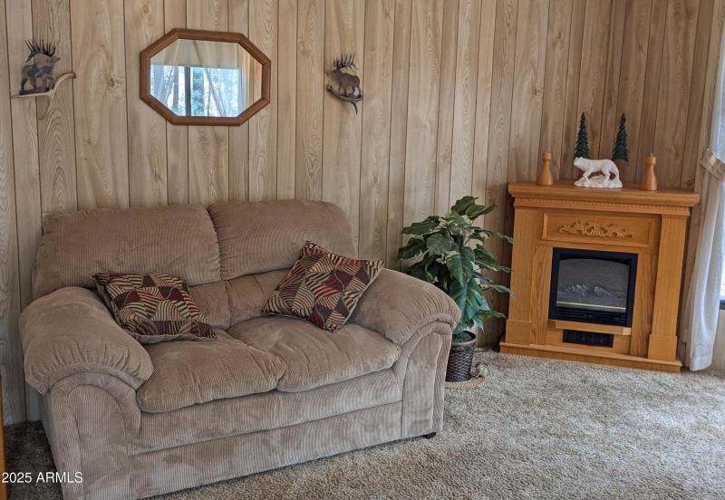 Cozy Electric Fireplace