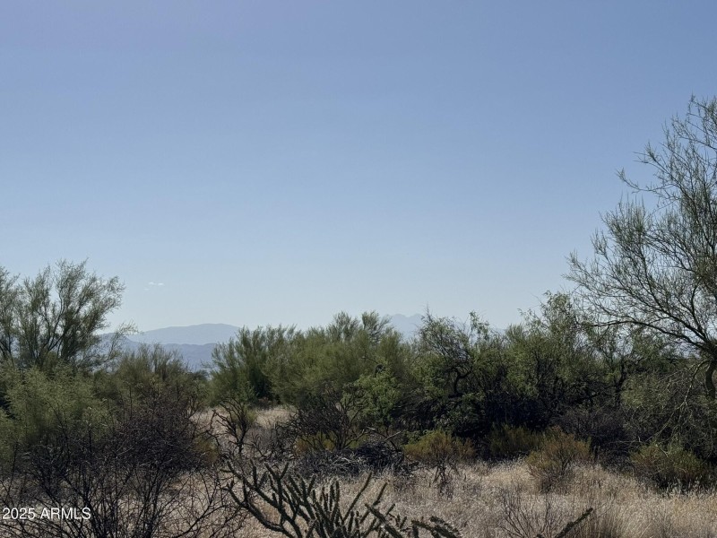 Only 10 Minutes from Needle Rock