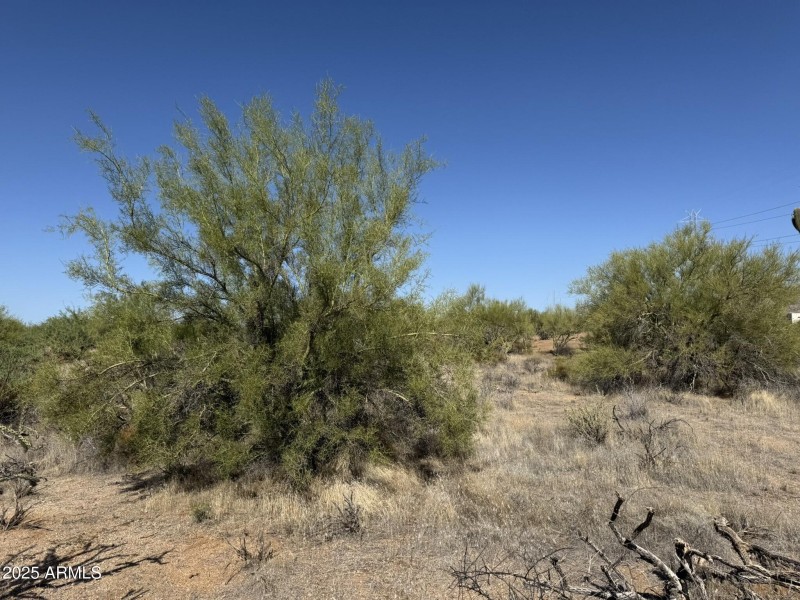 Horse Lover's Community