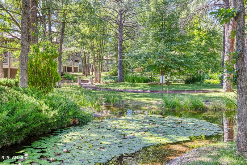 PAX_9383_AuroraHDR2019-edit