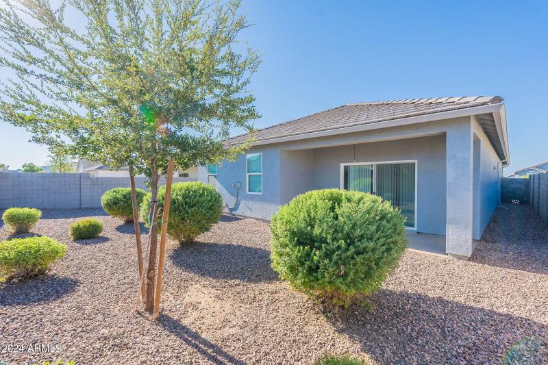 1-web-or-mls-Basil-35