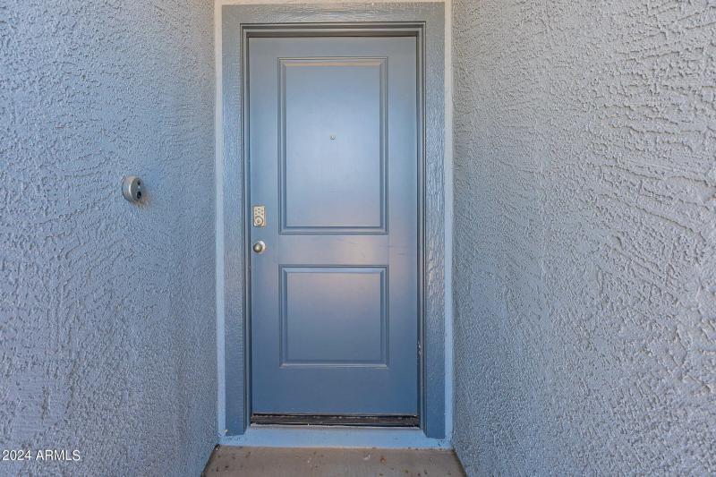 33-web-or-mls-Basil-4