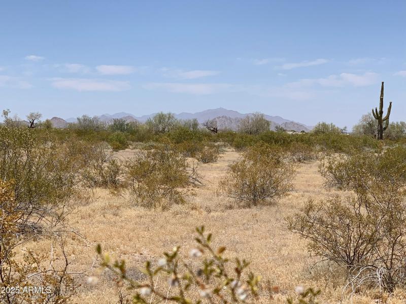 Bring Your Toys & Critters!