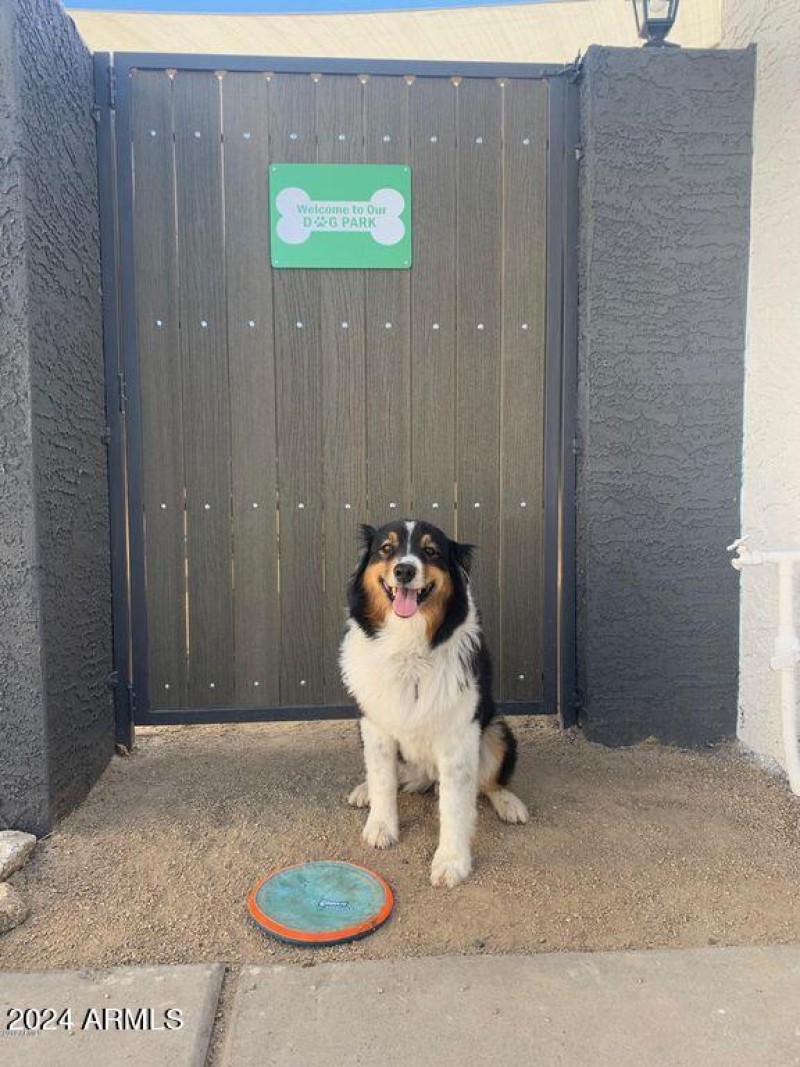 20191031181633351919000000-o