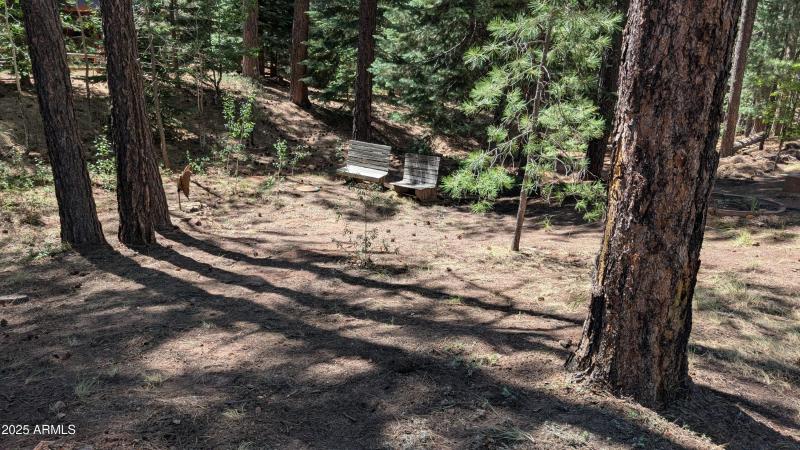 PXL_20250725_213159202.MP