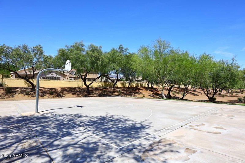 Community Park-Sport Court