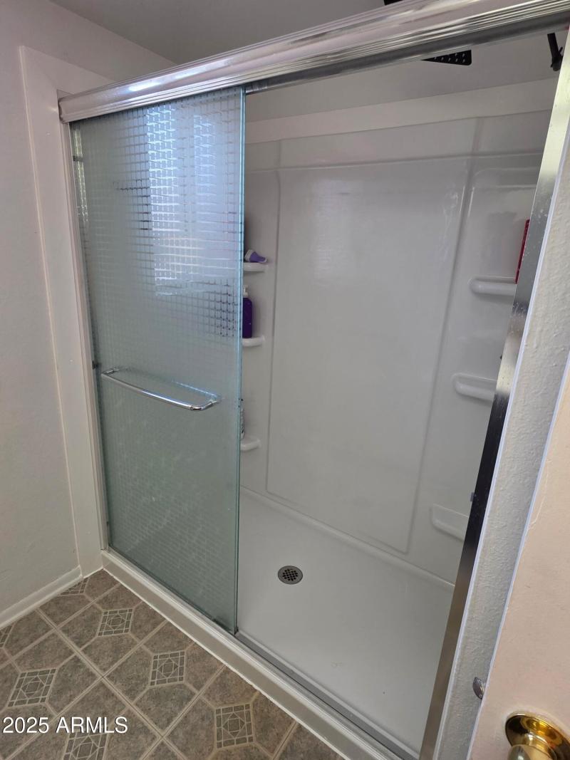 Master Shower Primary