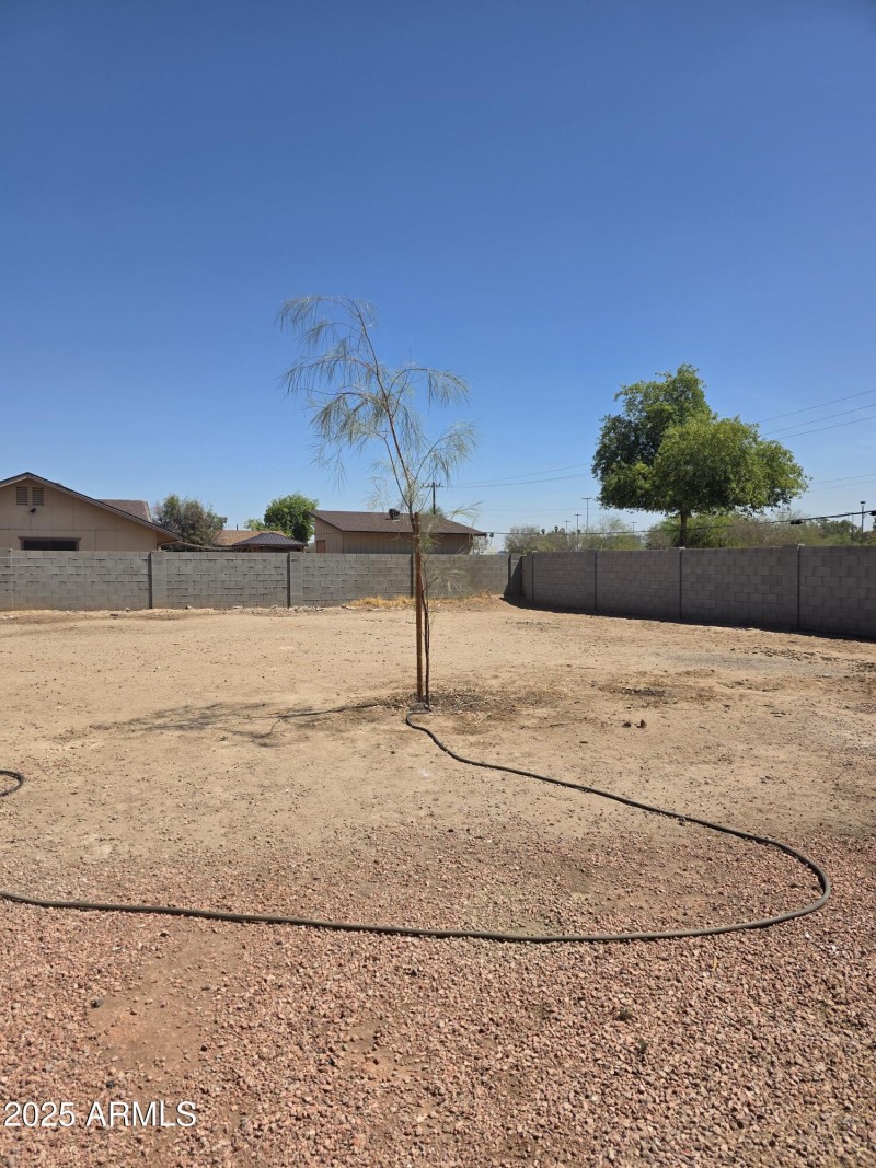 Dobbyn new tree backyard
