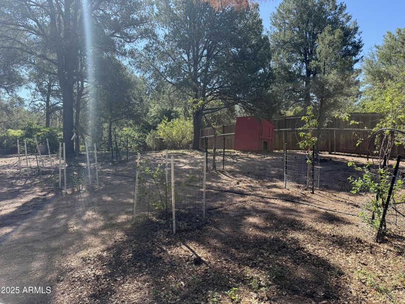 Photo Aug 05 2025, 9 35 15 AM