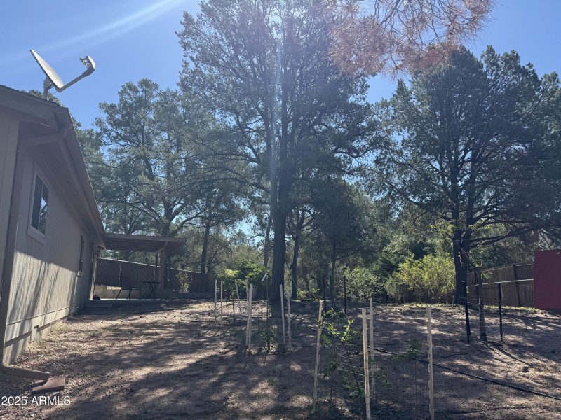 Photo Aug 05 2025, 9 35 45 AM