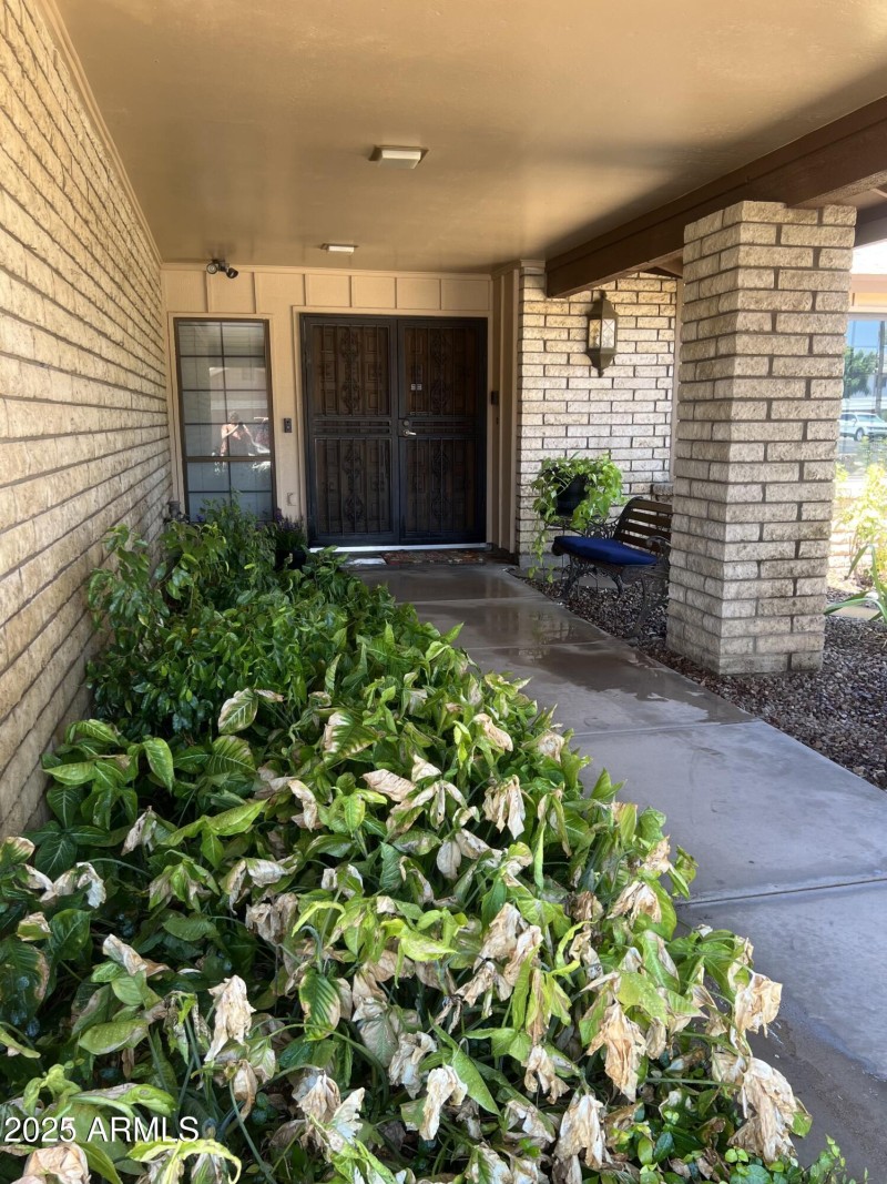 Entry 1