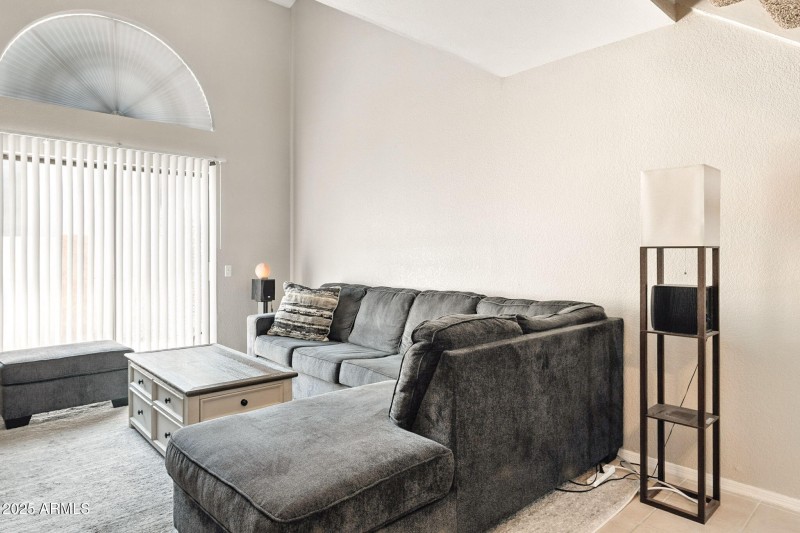 8-web-or-mls-Orchid-8