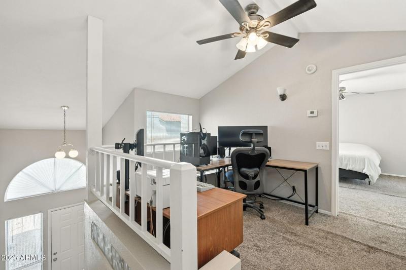 16-web-or-mls-Orchid-16