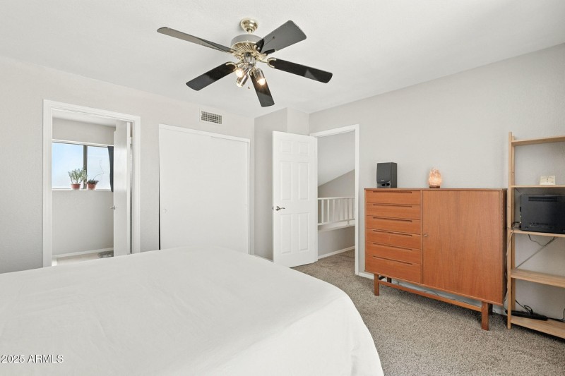 20-web-or-mls-Orchid-20