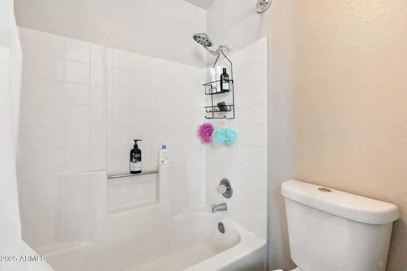 24-web-or-mls-Orchid-24