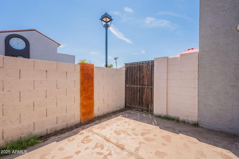 30-web-or-mls-Orchid-30