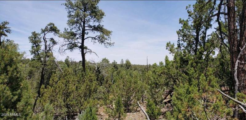 Resized_Screenshot_20250722_120728_Outlo